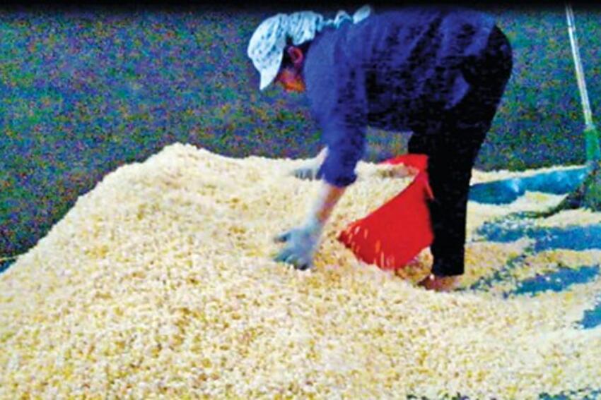 Hãi hùng bim bim bán cổng trường