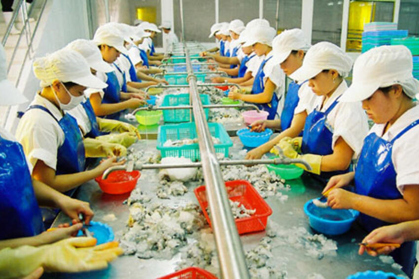 Xuất khẩu nông sản: Vẫn những khó khăn cũ