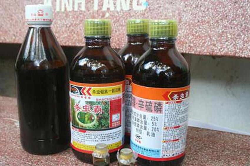 Việt Nam nhập ‘khủng’ thuốc trừ sâu từ Trung Quốc