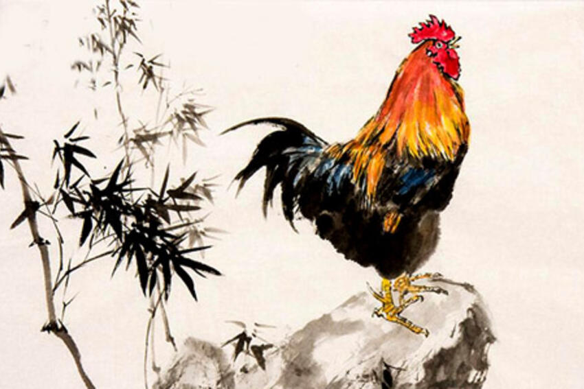 Vận mệnh người tuổi Dậu năm 2017