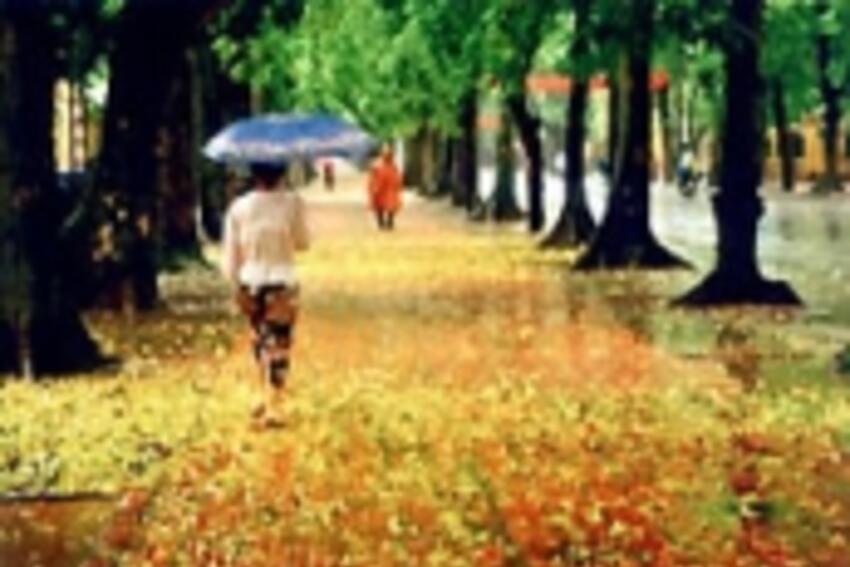 Hà nội vào thu tràn nỗi nhớ