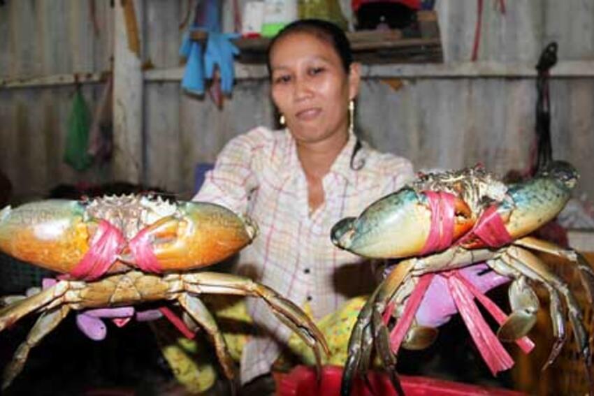 Cua biển Cà Mau rớt giá một nửa