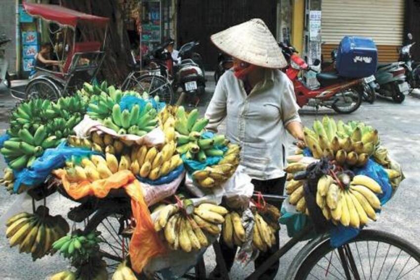 TS Lưu Bích Hồ: Tính toán cẩn thận khi tăng thuế VAT