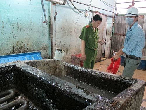 lòng lợn; ô nhiễm lòng lợn; ô nhiễm