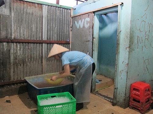 lòng lợn; ô nhiễm lòng lợn; ô nhiễm