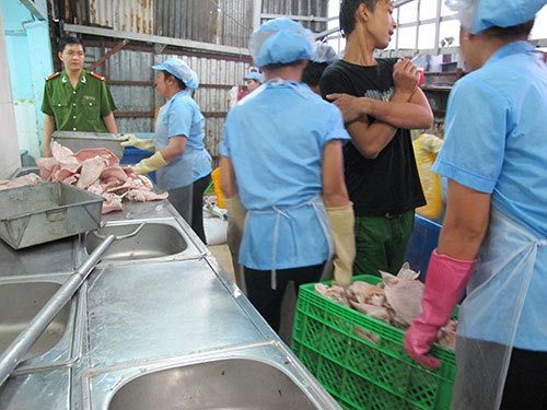 lòng lợn; ô nhiễm lòng lợn; ô nhiễm