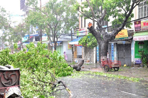 Miền Trung, tan hoang, bão Miền Trung, tan hoang, bão