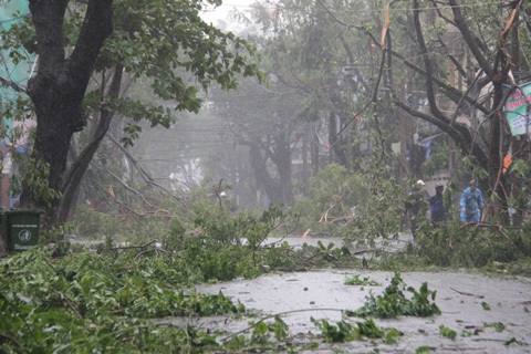 Miền Trung, tan hoang, bão Miền Trung, tan hoang, bão