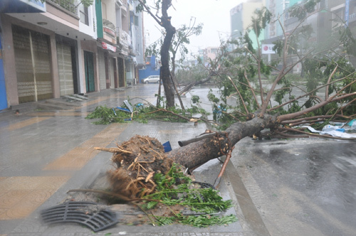 bão số 11, tâm bão, Đà Nẵng bão số 11, tâm bão, Đà Nẵng
