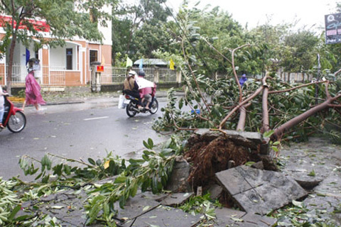 Miền Trung, tan hoang, bão Miền Trung, tan hoang, bão