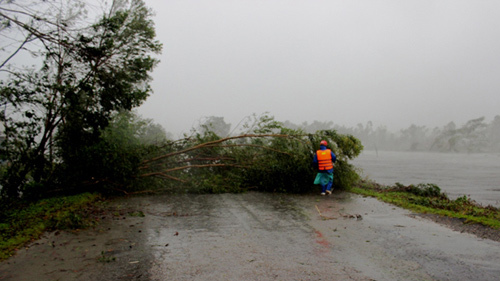 bão số 11, tâm bão, Đà Nẵng bão số 11, tâm bão, Đà Nẵng