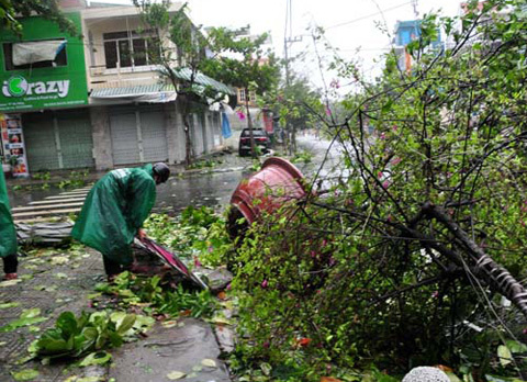 Miền Trung, tan hoang, bão Miền Trung, tan hoang, bão