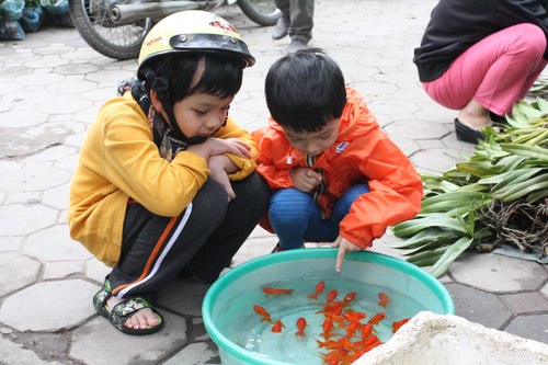 IMG-3921-JPG-1359790324-500x0-7162-13903