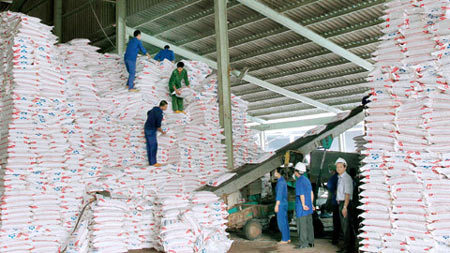 lâm thao, supe, phân lân, TGĐ, thế giới lâm thao, supe, phân lân, TGĐ, thế giới