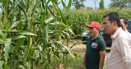 Đoàn-Nguyên-Đức, bầu-Đức, Hoàng-Anh-Gia-Lai, bò-sữa, cao-su, mía-đường, cọ-dầu, Lào, Campuchia, Attapeu Đoàn-Nguyên-Đức, bầu-Đức, Hoàng-Anh-Gia-Lai, bò-sữa, cao-su, mía-đường, cọ-dầu, Lào, Campuchia, Attapeu