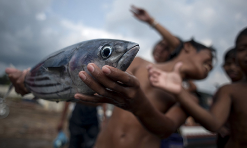 20140519-PHILLIPINES-slide-8EH-4921-4939