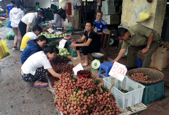 được-mùa, rớt-giá, giá-rẻ-như-rau, hoa-quả, vải-thiều, Lục-Ngạn, măng-cụt, mận, Trung-Quốc, nhà-vườn, chợ, vỉa-hè, xuất-khẩu, dội-chợ được-mùa, rớt-giá, giá-rẻ-như-rau, hoa-quả, vải-thiều, Lục-Ngạn, măng-cụt, mận, Trung-Quốc, nhà-vườn, chợ, vỉa-hè, xuất-khẩu, dội-chợ