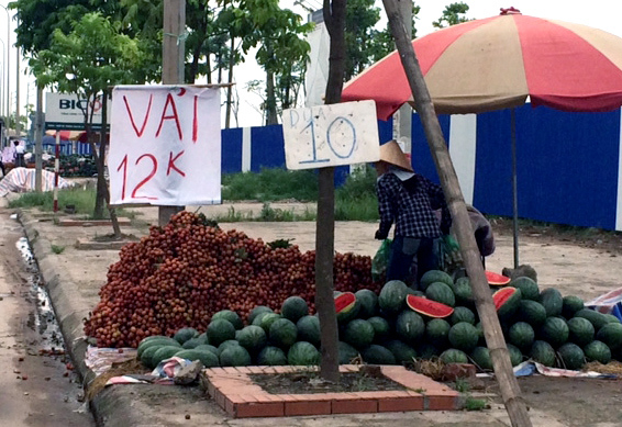 được-mùa, rớt-giá, giá-rẻ-như-rau, hoa-quả, vải-thiều, Lục-Ngạn, măng-cụt, mận, Trung-Quốc, nhà-vườn, chợ, vỉa-hè, xuất-khẩu, dội-chợ được-mùa, rớt-giá, giá-rẻ-như-rau, hoa-quả, vải-thiều, Lục-Ngạn, măng-cụt, mận, Trung-Quốc, nhà-vườn, chợ, vỉa-hè, xuất-khẩu, dội-chợ