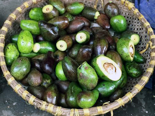 hoa-quả, thối, dập-nát, chợ, nhặt, mua, sinh-tố, quán-cà-phê, nước-ép, trái-câu, Long-Biên hoa-quả, thối, dập-nát, chợ, nhặt, mua, sinh-tố, quán-cà-phê, nước-ép, trái-câu, Long-Biên