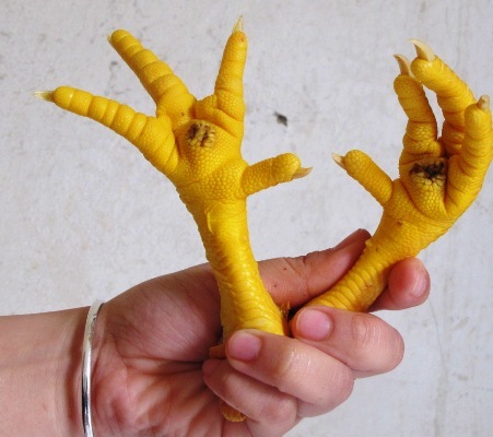 chân-gà, bơm-nước, độn, thực-phẩm-phẩm, đồ-nhậu, dân-nhậu, phù-phép, công-nghệ, rùng-mình chân-gà, bơm-nước, độn, thực-phẩm-phẩm, đồ-nhậu, dân-nhậu, phù-phép, công-nghệ, rùng-mình