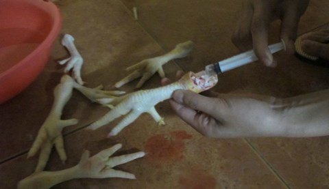 chân-gà, bơm-nước, độn, thực-phẩm-phẩm, đồ-nhậu, dân-nhậu, phù-phép, công-nghệ, rùng-mình chân-gà, bơm-nước, độn, thực-phẩm-phẩm, đồ-nhậu, dân-nhậu, phù-phép, công-nghệ, rùng-mình