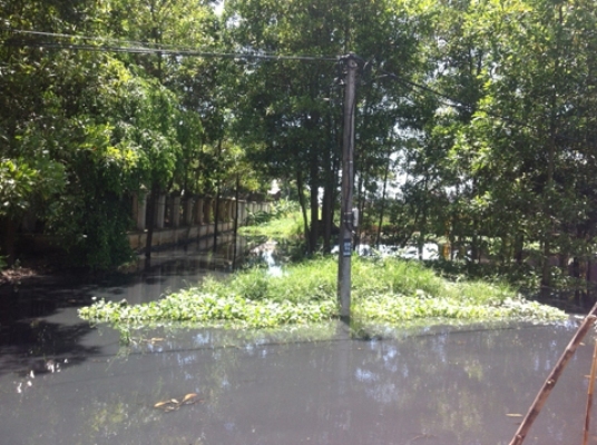 Hưng Yên, xả thải, Trung Quốc, lao động chui... Hưng Yên, xả thải, Trung Quốc, lao động chui...