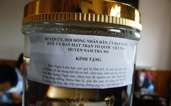 sâm, sâm ngọc linh, huyện Nam Trà My ,rụ sở TP.Tam Kỳ sâm, sâm ngọc linh, huyện Nam Trà My ,rụ sở TP.Tam Kỳ