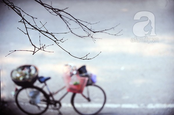 Hà Nội, mùa đông, yên bình Hà Nội, mùa đông, yên bình