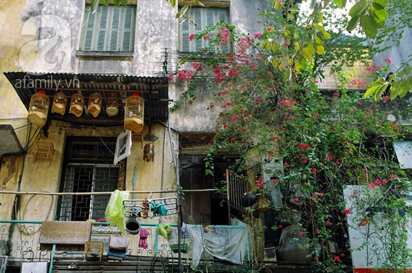 Hà Nội, mùa đông, yên bình Hà Nội, mùa đông, yên bình