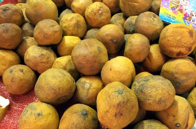 Buôn-bán, đặc-sản, đặc-sản-Tết, Tết-nguyên-đán, bưởi-Diễn, cam-Cao-Phong, ế-ẩm, thua-lỗ, nợ-nần Buôn-bán, đặc-sản, đặc-sản-Tết, Tết-nguyên-đán, bưởi-Diễn, cam-Cao-Phong, ế-ẩm, thua-lỗ, nợ-nần