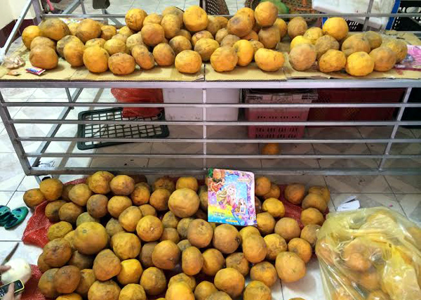 Buôn-bán, đặc-sản, đặc-sản-Tết, Tết-nguyên-đán, bưởi-Diễn, cam-Cao-Phong, ế-ẩm, thua-lỗ, nợ-nần Buôn-bán, đặc-sản, đặc-sản-Tết, Tết-nguyên-đán, bưởi-Diễn, cam-Cao-Phong, ế-ẩm, thua-lỗ, nợ-nần