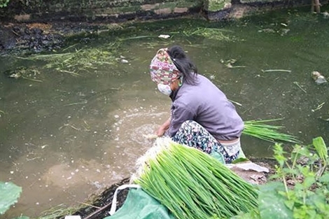 khẩu trang, rửa rau, nước thải, Hưng Yên khẩu trang, rửa rau, nước thải, Hưng Yên