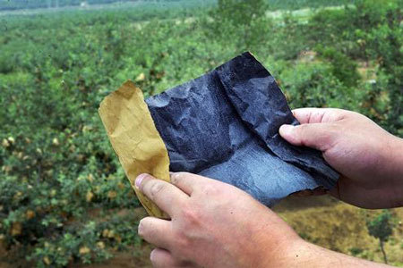 táo đỏ Trung Quốc, hóa chất, thuốc trừ sâu, nông dân, ung thư, Táo đỏ Yên Đài, tẩm hóa chất, trái cây, hàng Tàu táo đỏ Trung Quốc, hóa chất, thuốc trừ sâu, nông dân, ung thư, Táo đỏ Yên Đài, tẩm hóa chất, trái cây, hàng Tàu