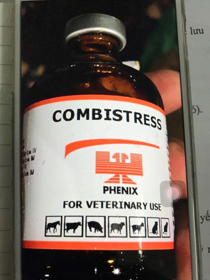 lò mổ, tiêm thuốc vào lợn, dịch gia cầm, kiểm dịch gia cầm lò mổ, tiêm thuốc vào lợn, dịch gia cầm, kiểm dịch gia cầm