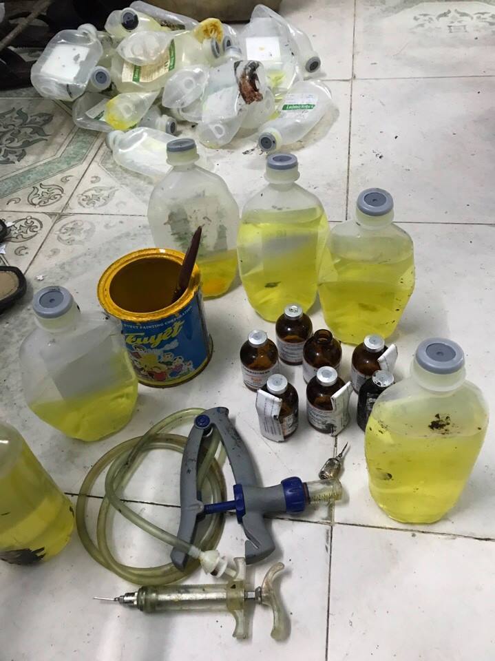 lò mổ, tiêm thuốc vào lợn, dịch gia cầm, kiểm dịch gia cầm lò mổ, tiêm thuốc vào lợn, dịch gia cầm, kiểm dịch gia cầm