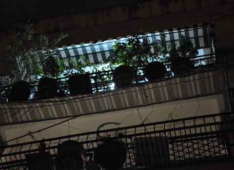 Hàng rào nơi các con bạc bị té ngã. Ảnh: Q.T