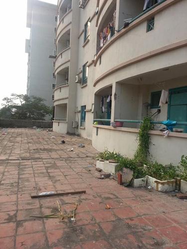 Rác thải vứt khắp nơi.