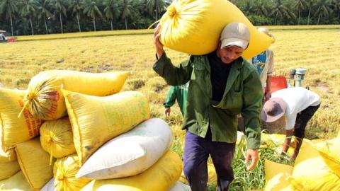 Phó Thủ tướng Hoàng Trung Hải tại Hội nghị mới đây cho biết, Việt Nam có thể làm giàu được bằng nông nghiệp.