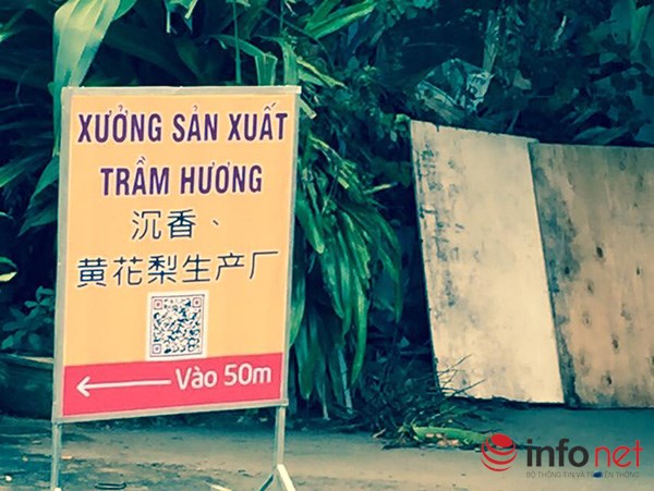 mà cả một số hàng quán quanh đó...