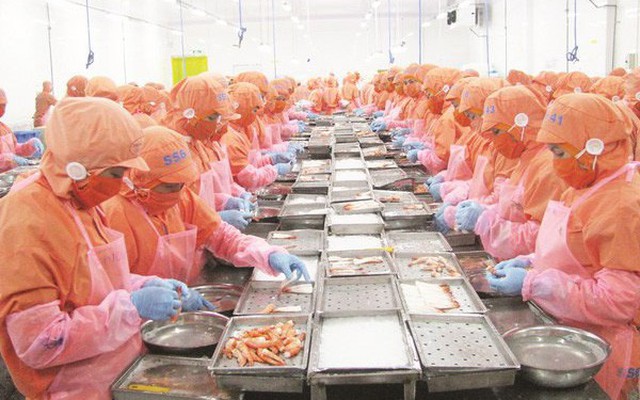 Ngành hàng chủ lực “tiếp đón” CPTPP như thế nào? Ngành hàng chủ lực “tiếp đón” CPTPP như thế nào?