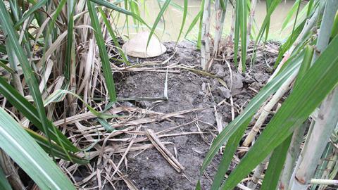 Hiện trường xảy ra vụ án mạng