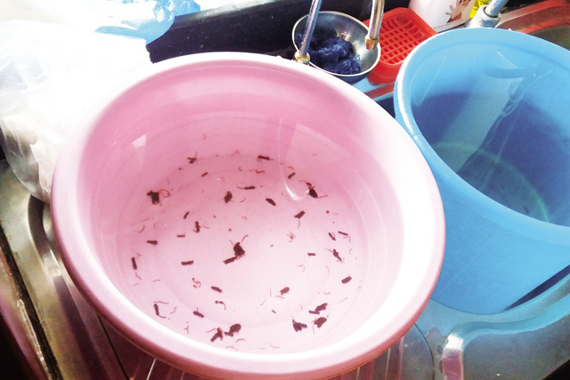 Vào mỗi buổi sáng, nhiều cư dân tòa nhà CT9 hoảng hốt với giun sán màu đỏ nâu “tung tăng” tuôn ra theo vòi nước.